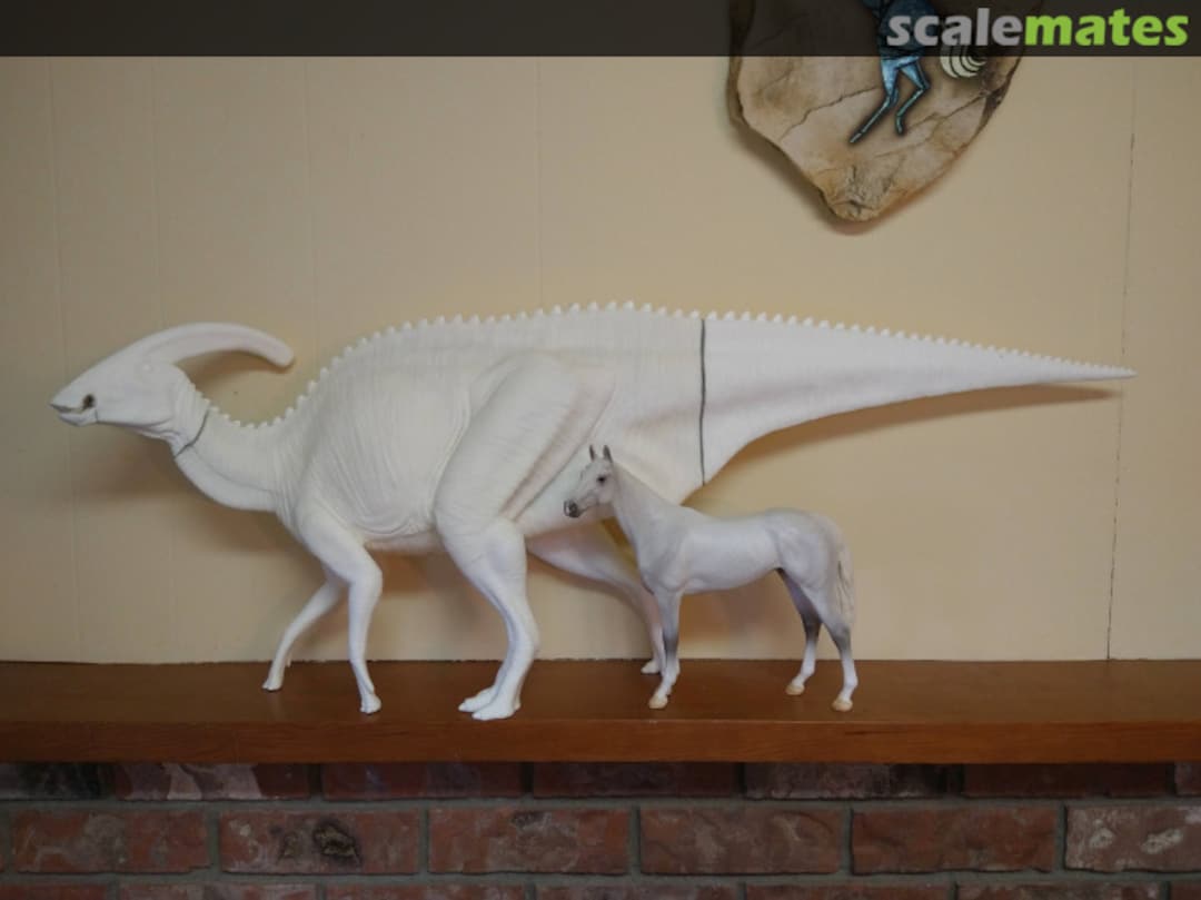 View album, image #4