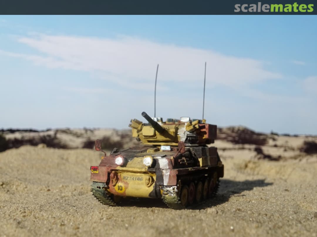 View album, image #1 View album, image #1