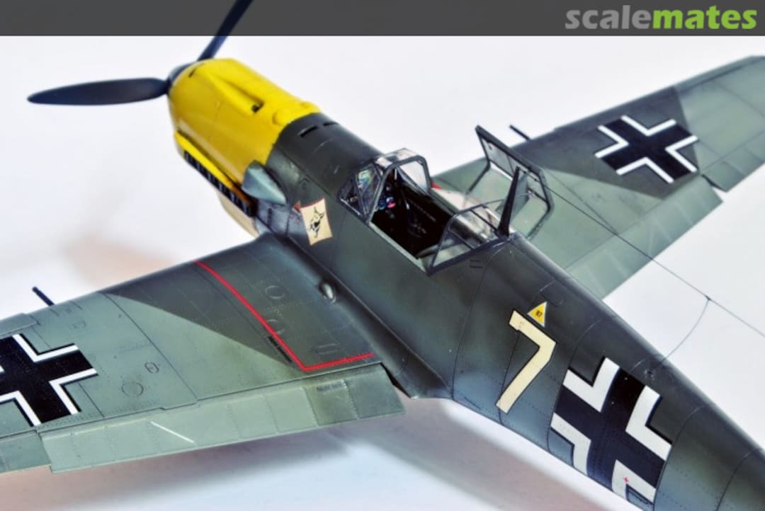 View album, image #4 View album, image #4