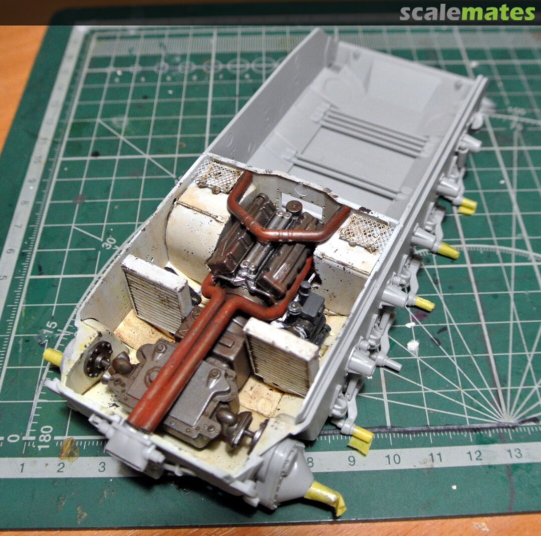 View album, image #1 View album, image #1