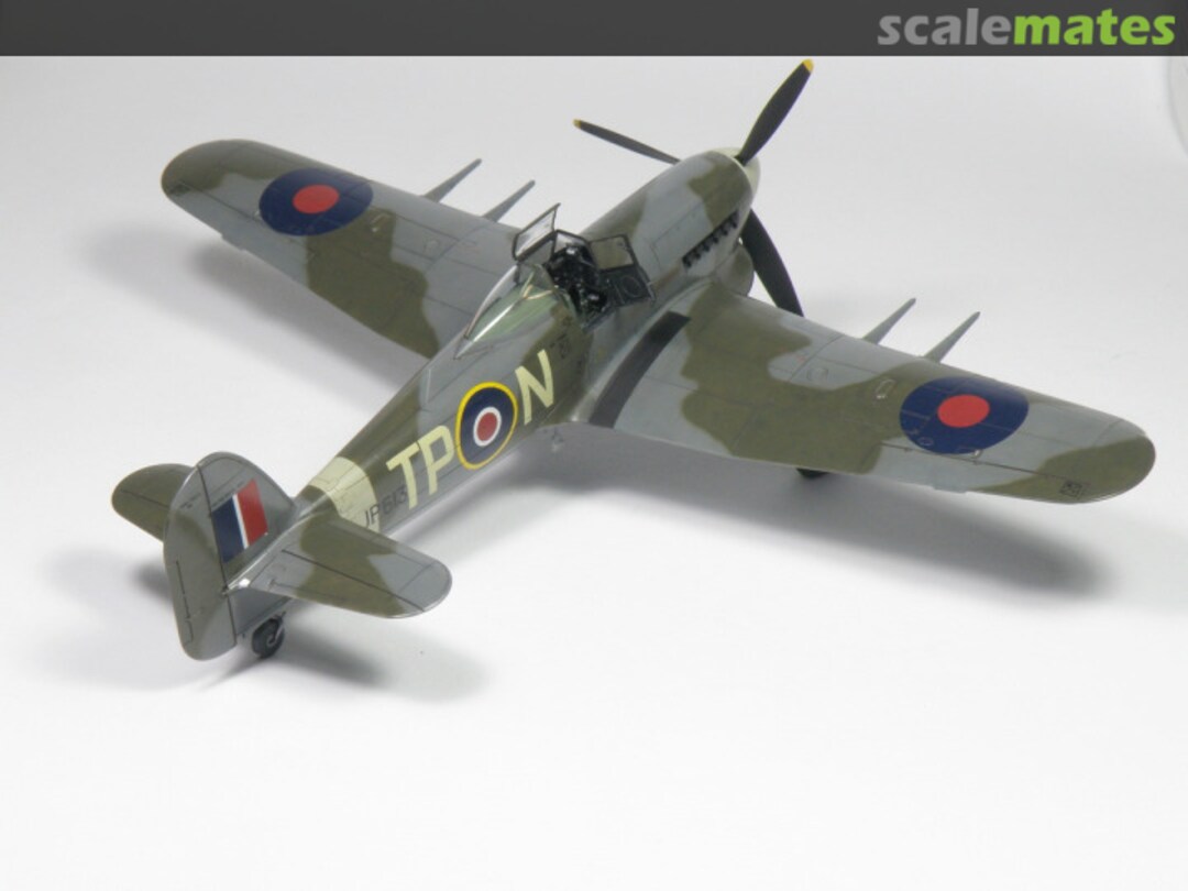 View album, image #1 View album, image #1