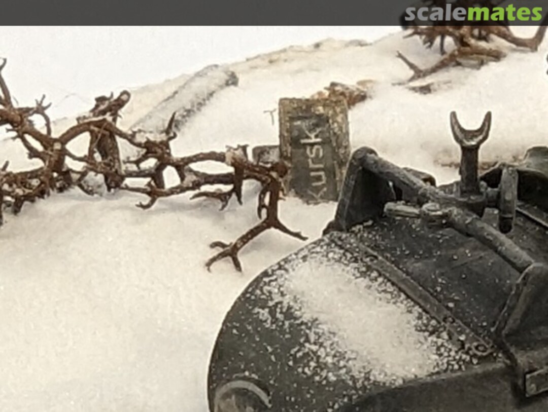 View album, image #1