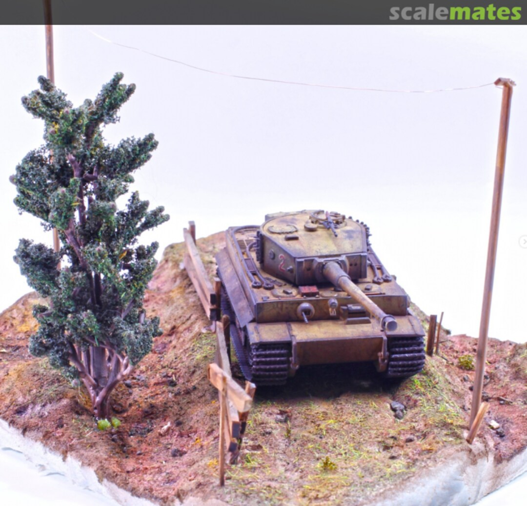 View album, image #4