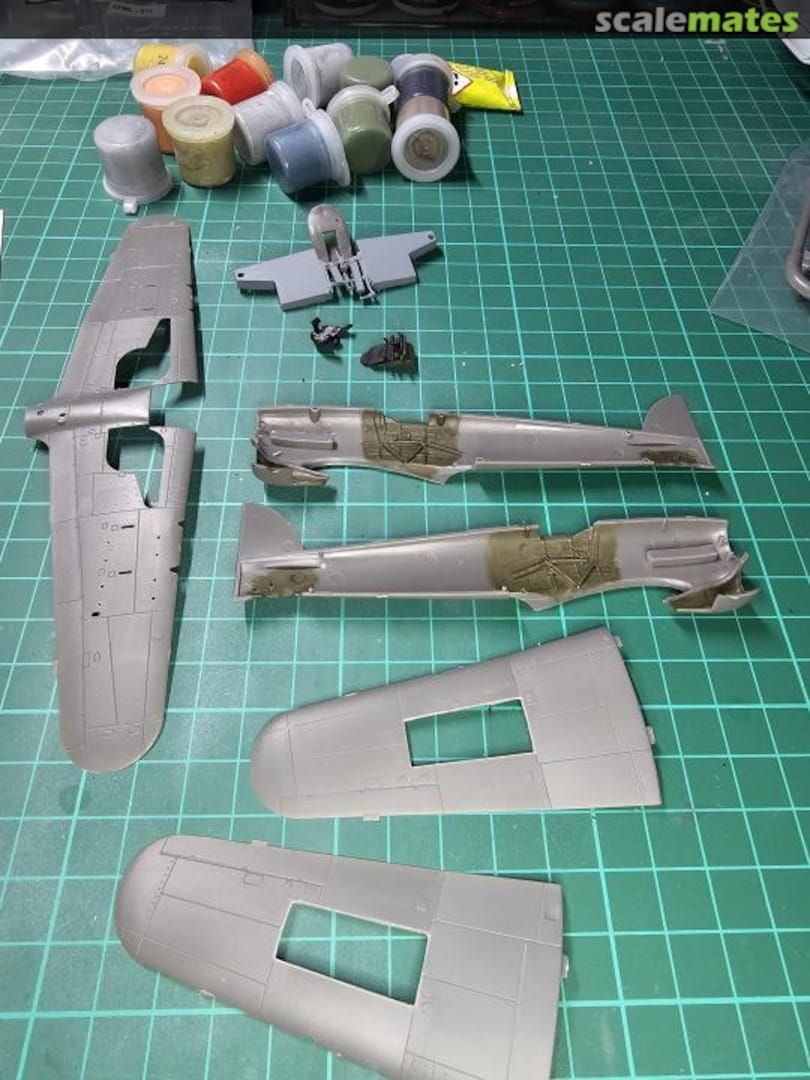 View album, image #1 View album, image #1