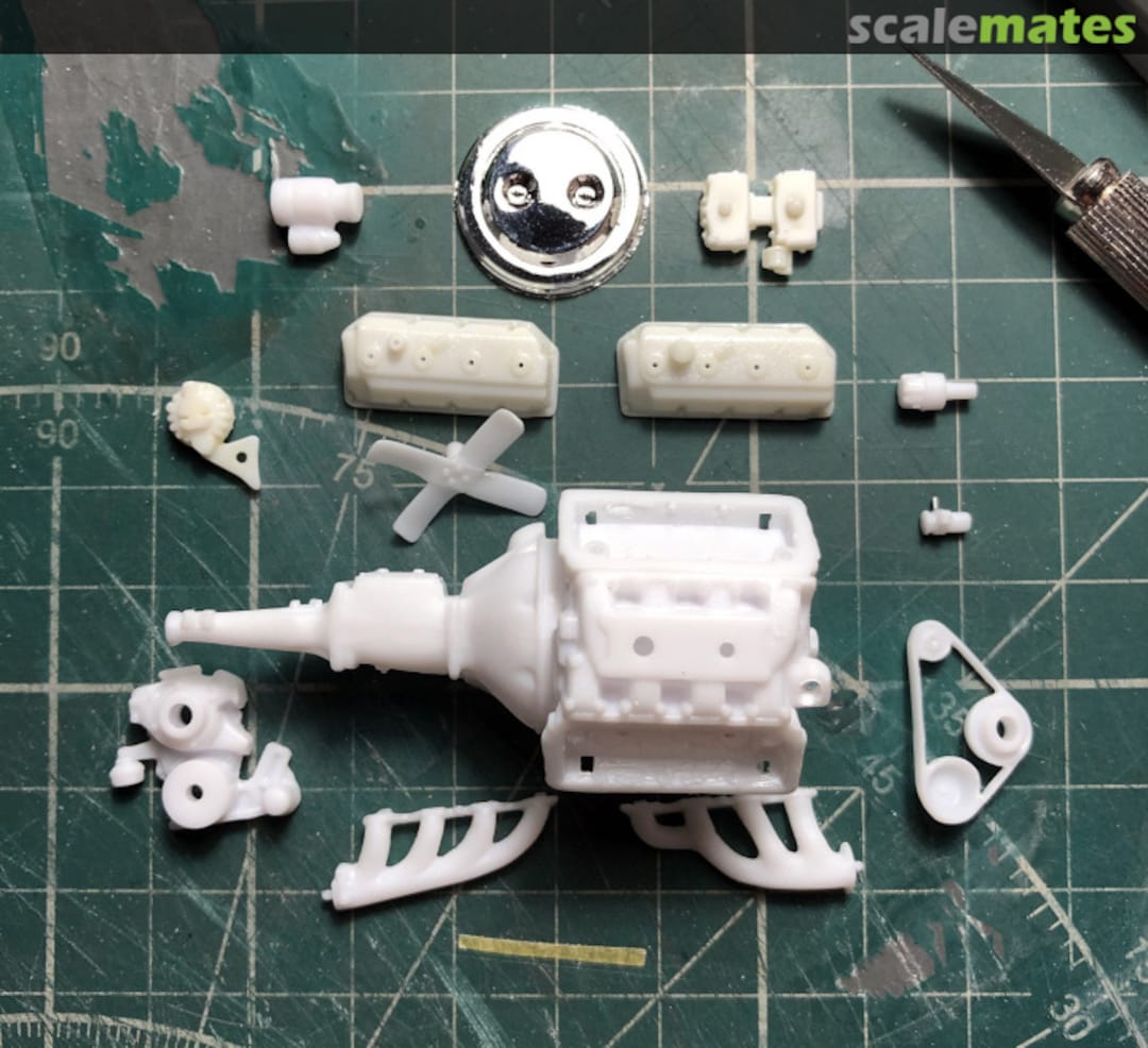 View album, image #1 View album, image #1