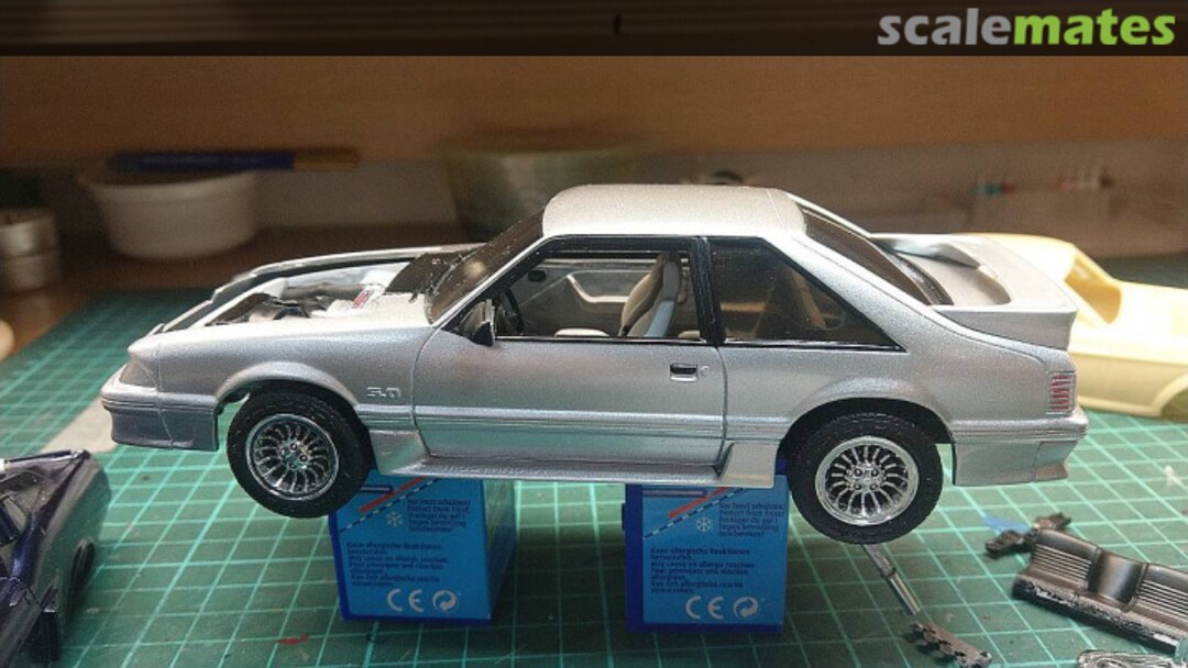 View album, image #43