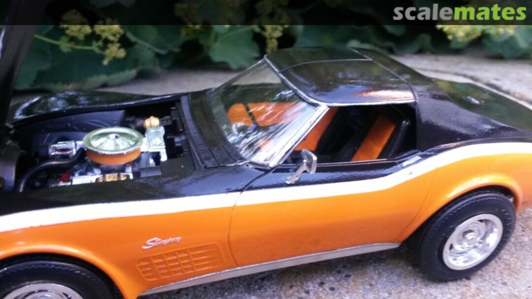 View album, image #1 View album, image #1