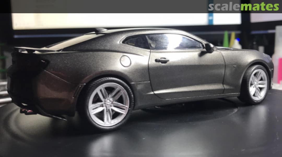 View album, image #1 View album, image #1