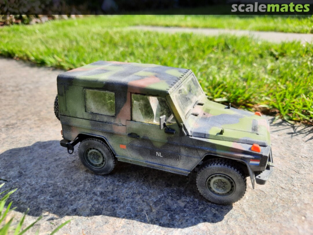 View album, image #1 View album, image #1