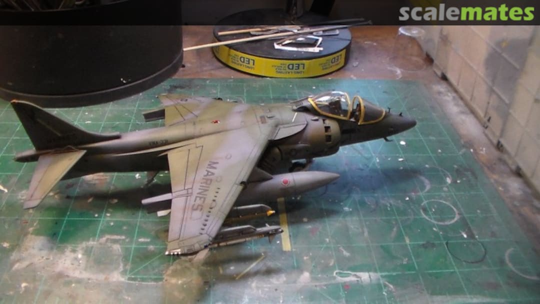 View album, image #1 View album, image #1