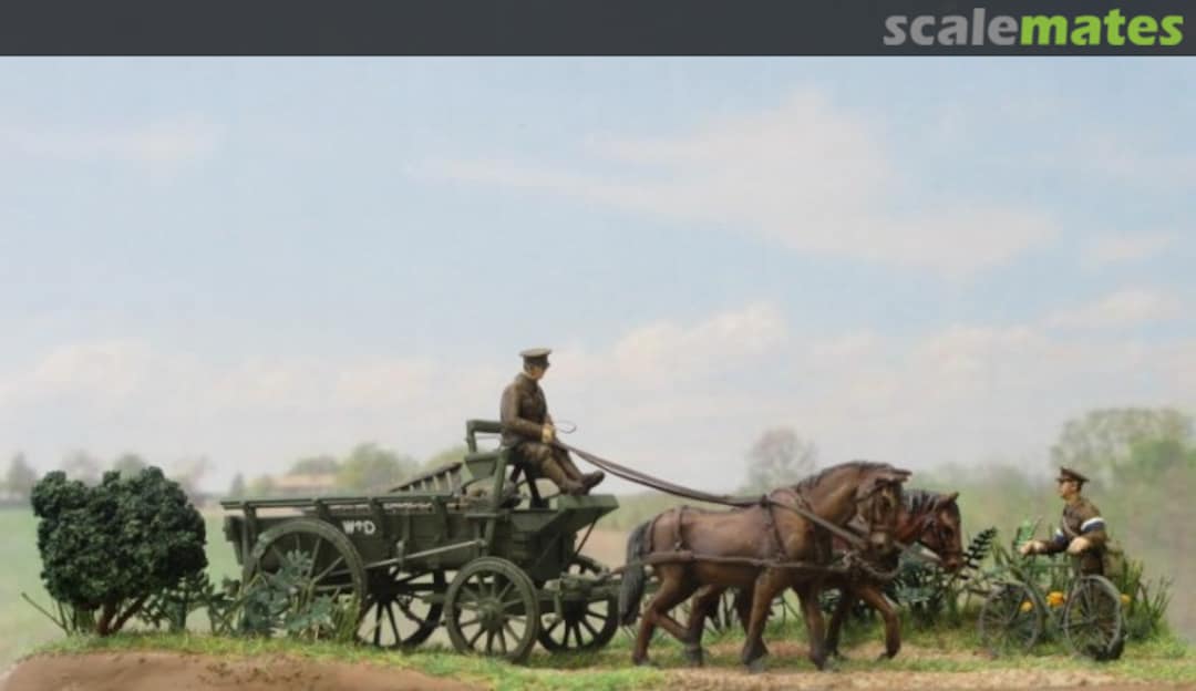 View album, image #1