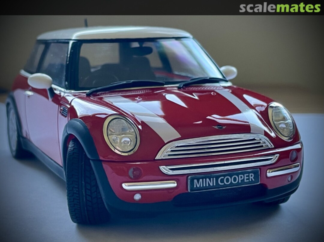 View album, image #1 View album, image #1