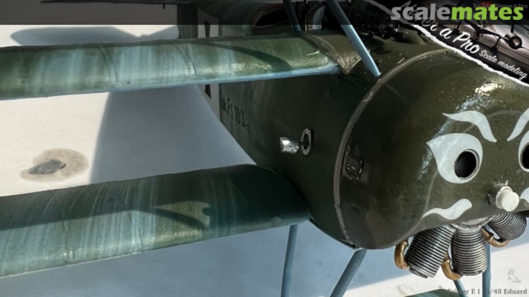 View album, image #50 View album, image #50