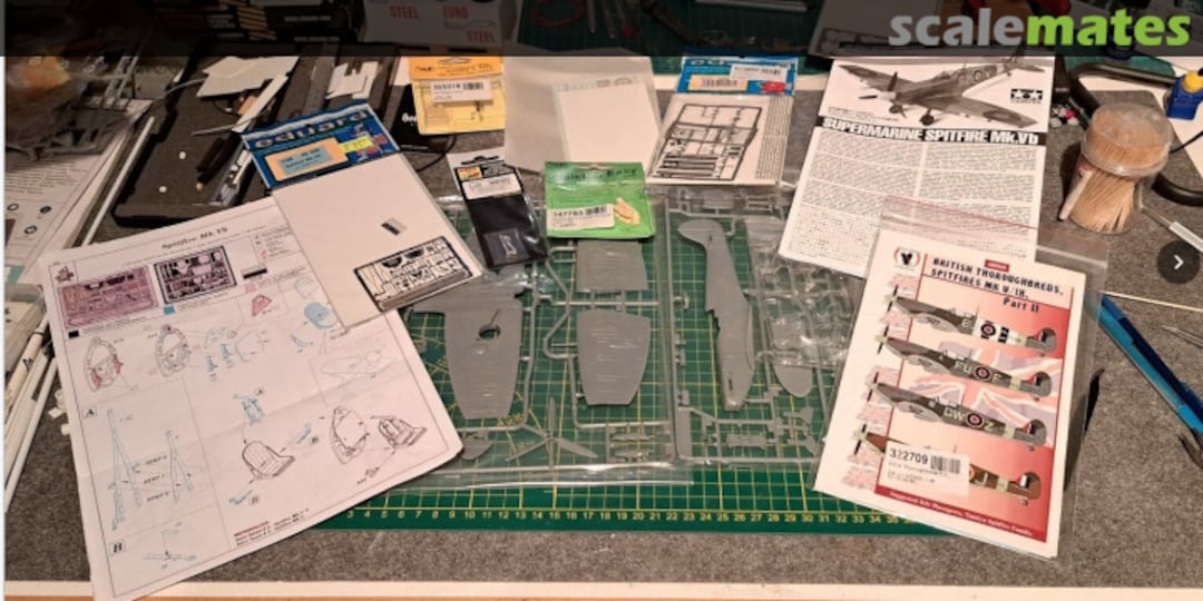 View album, image #1 View album, image #1