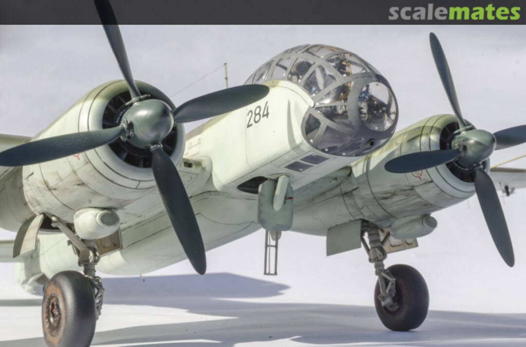 View album, image #1