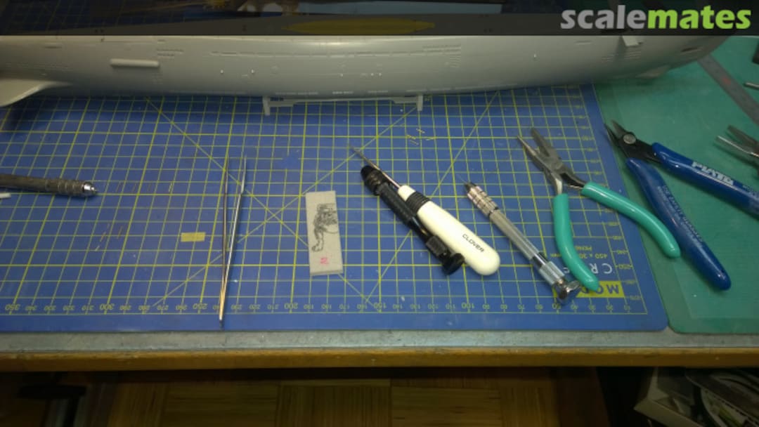 View album, image #1 View album, image #1