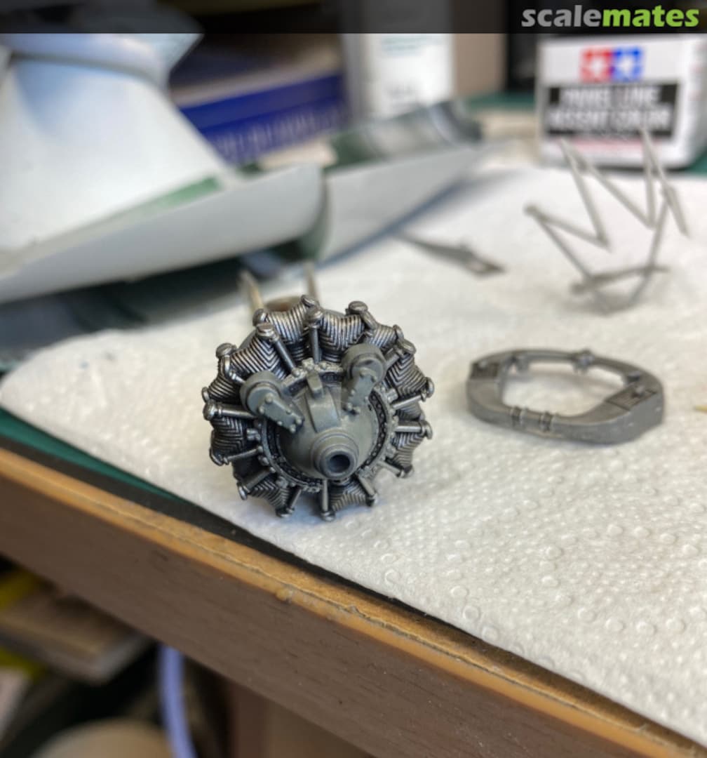 View album, image #1 View album, image #1