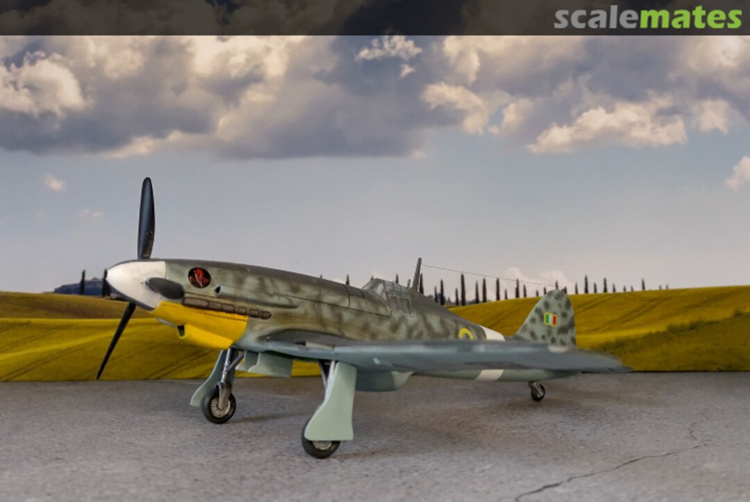 View album, image #7 View album, image #7