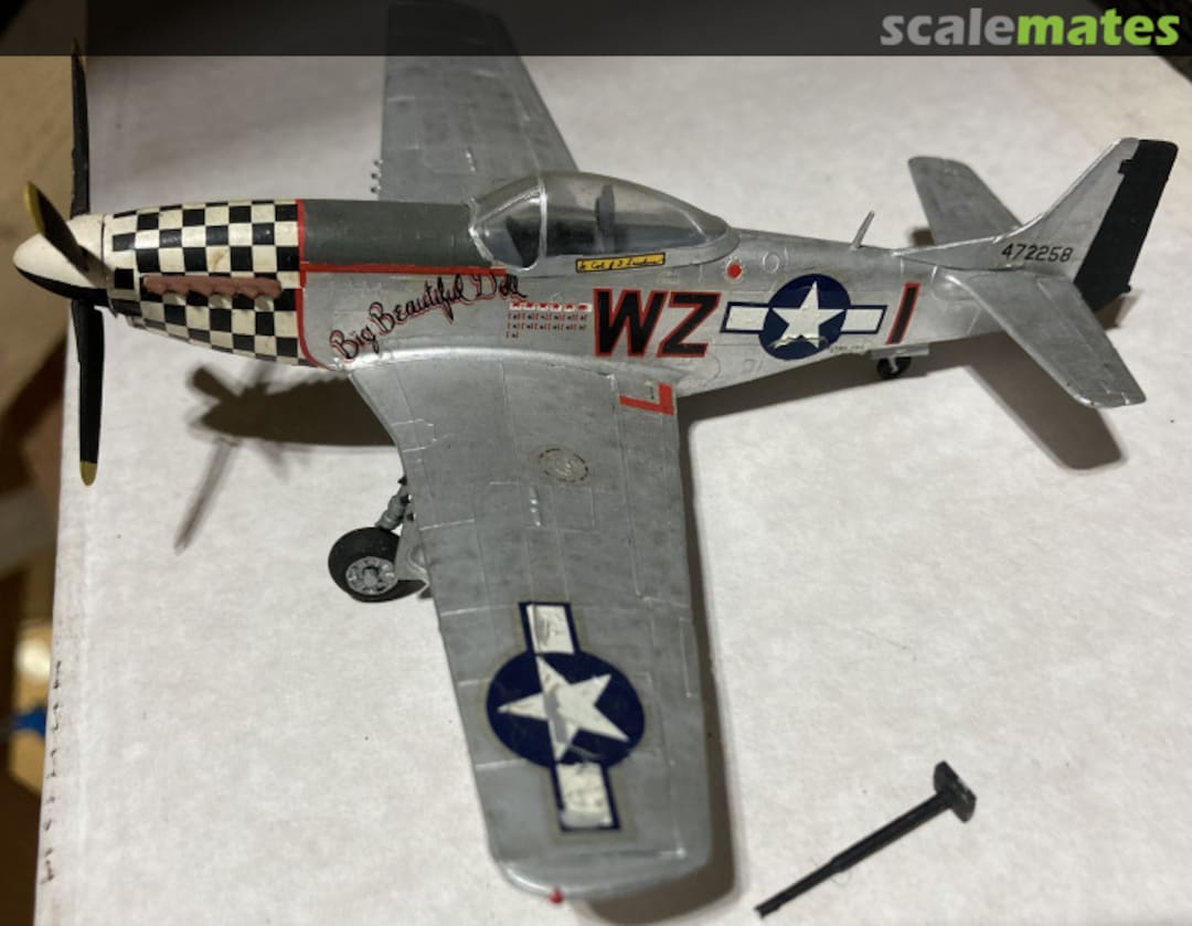 View album, image #1 View album, image #1