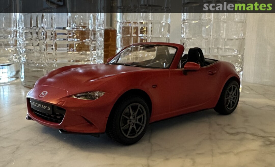 View album, image #1 View album, image #1