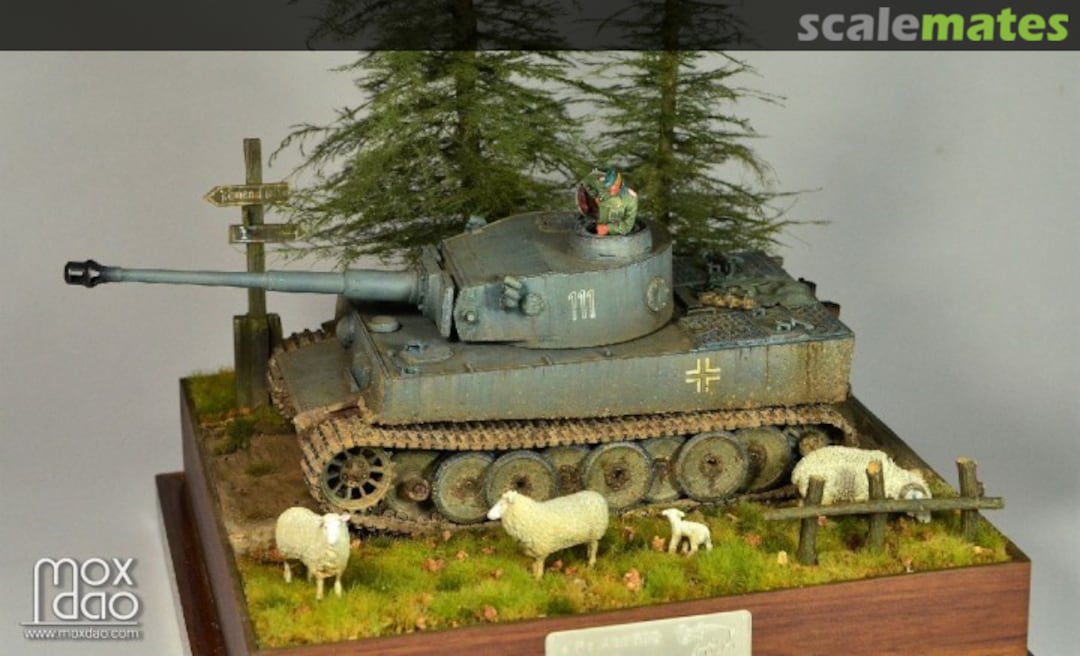 View album, image #1 View album, image #1