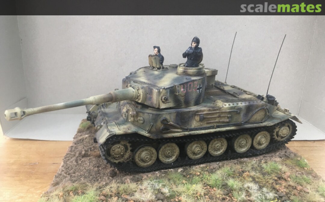 View album, image #14 View album, image #14