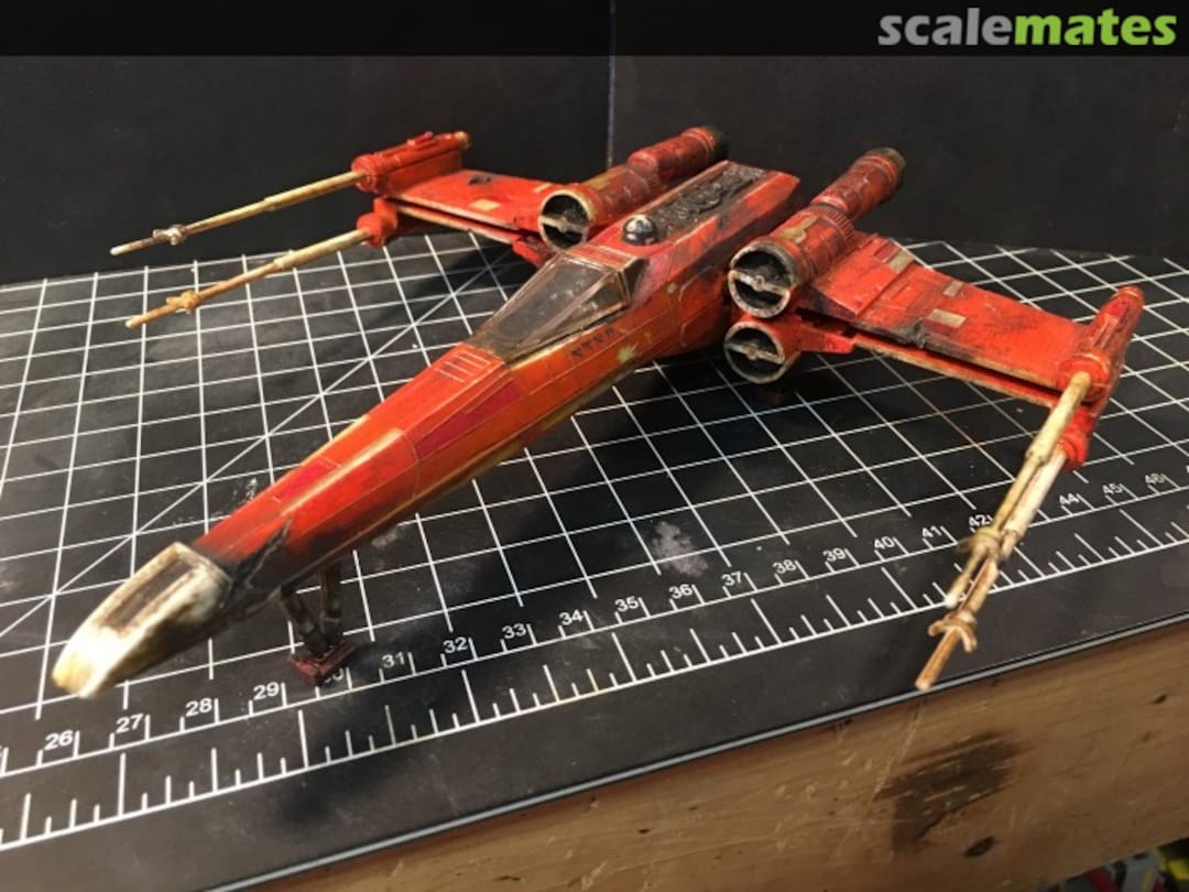 View album, image #1 View album, image #1