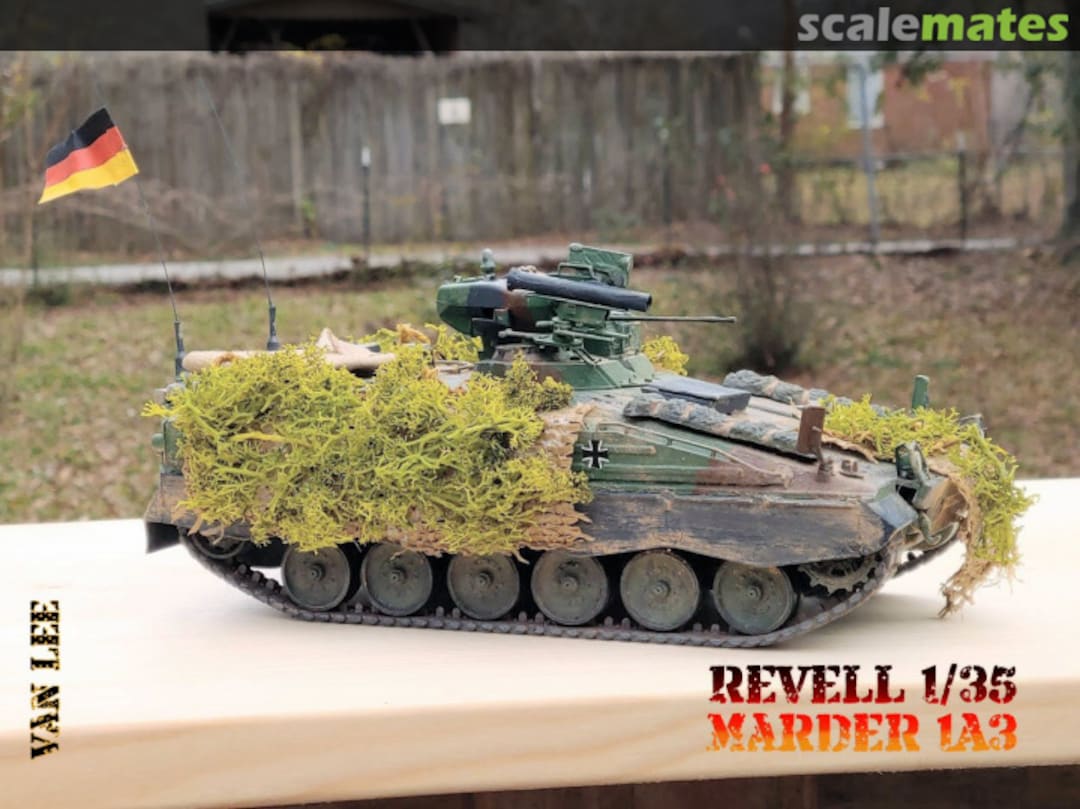 View album, image #1 View album, image #1