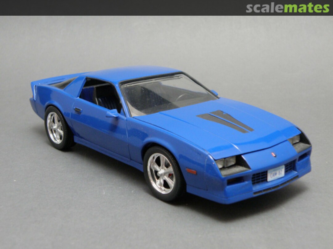 View album, image #1 View album, image #1