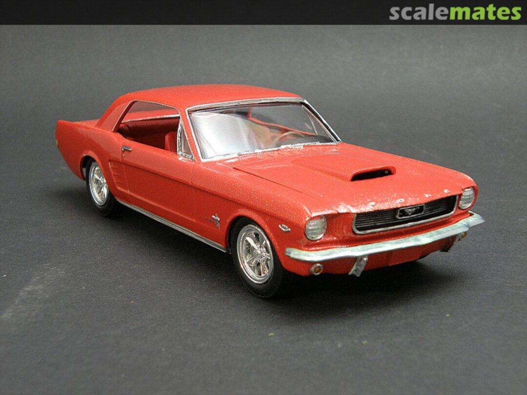 View album, image #1