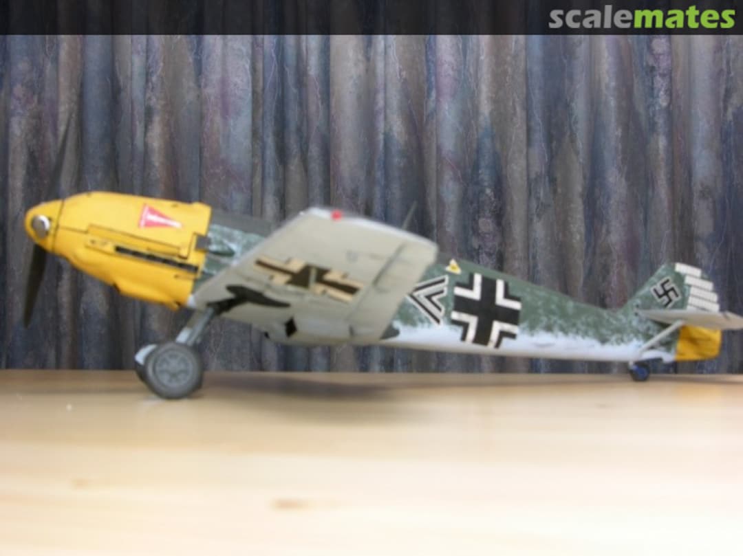 View album, image #1 View album, image #1