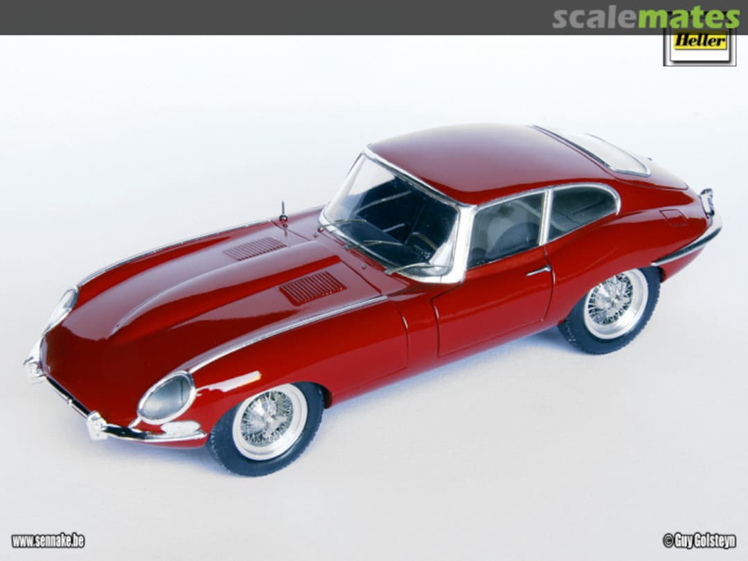 View album, image #1 View album, image #1