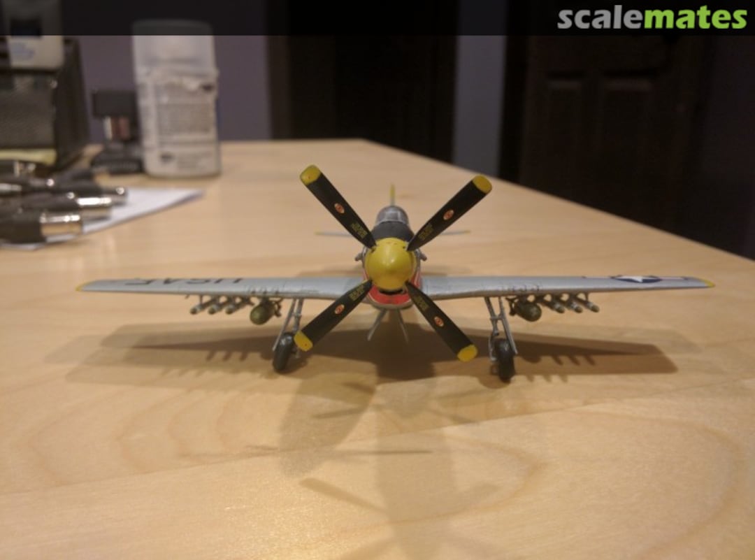 View album, image #1 View album, image #1