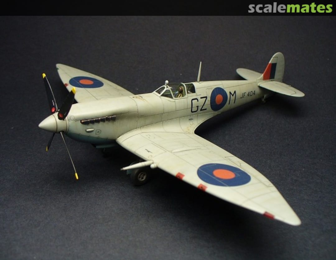 View album, image #1 View album, image #1