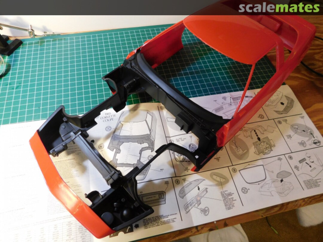 View album, image #1 View album, image #1