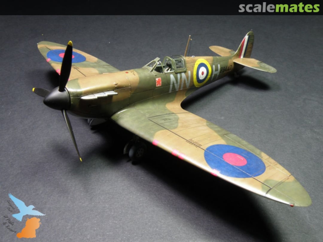 View album, image #1 View album, image #1