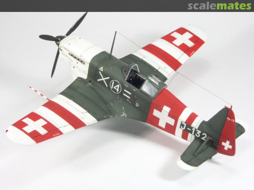 View album, image #16 View album, image #16