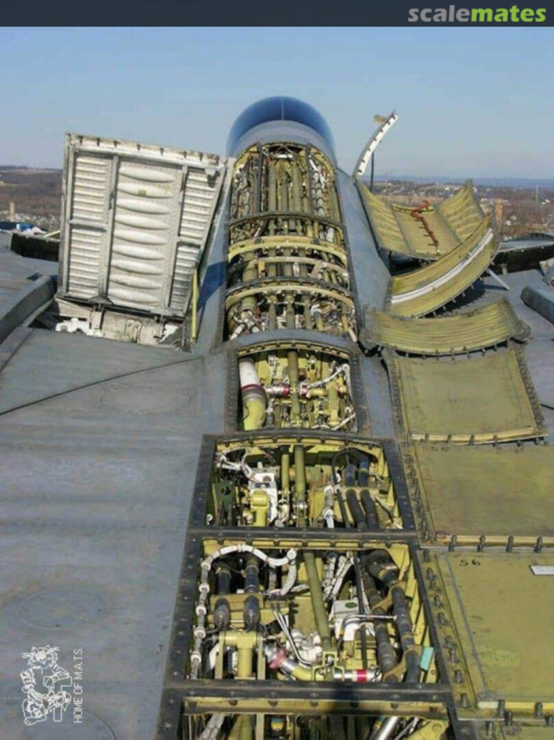 View album, image #1