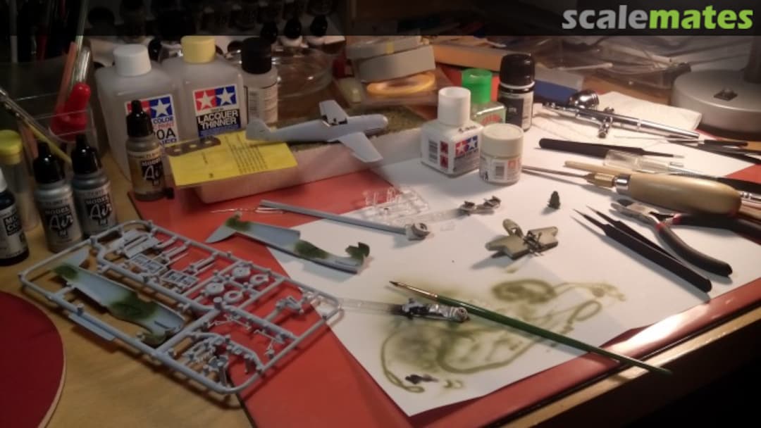 View album, image #1 View album, image #1