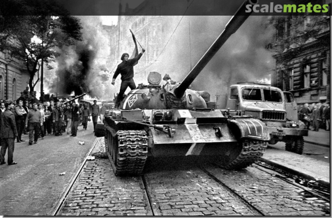 View album, image #1 View album, image #1