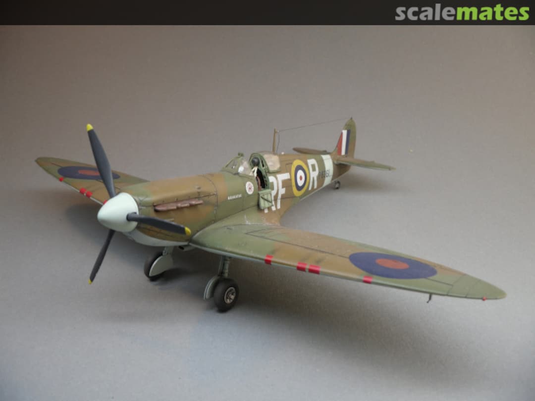 View album, image #6 View album, image #6