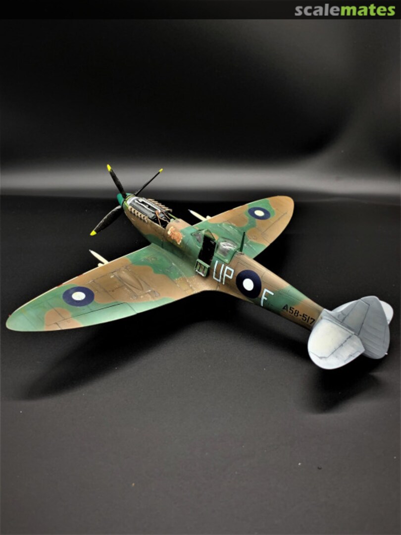 View album, image #6 View album, image #6