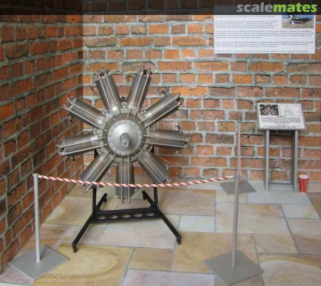 View album, image #1