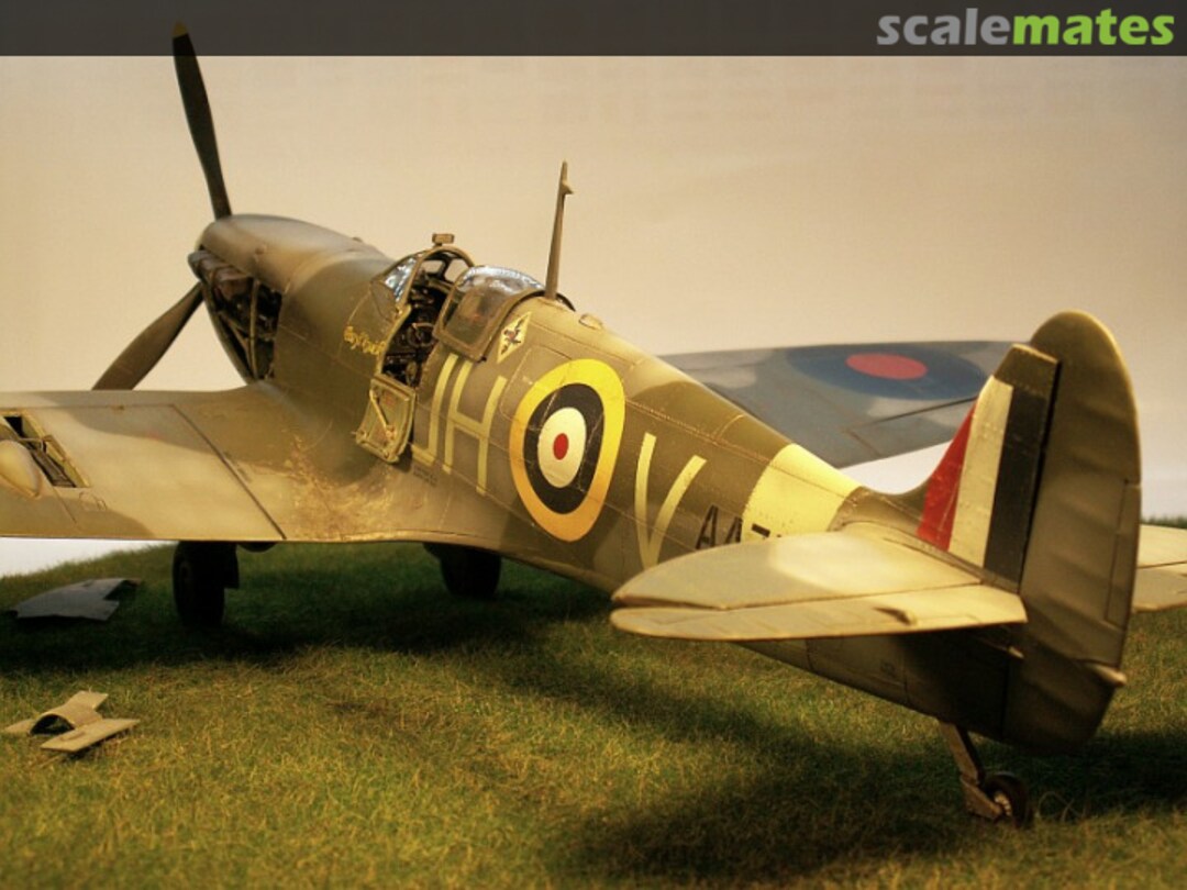 View album, image #1 View album, image #1