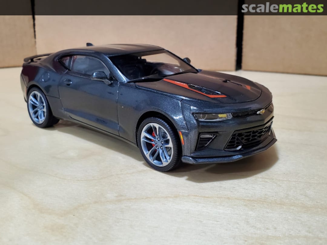 View album, image #1 View album, image #1