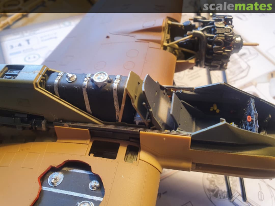 View album, image #1 View album, image #1