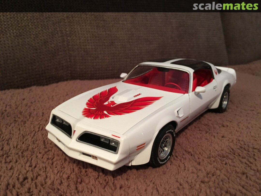 View album, image #2 View album, image #2