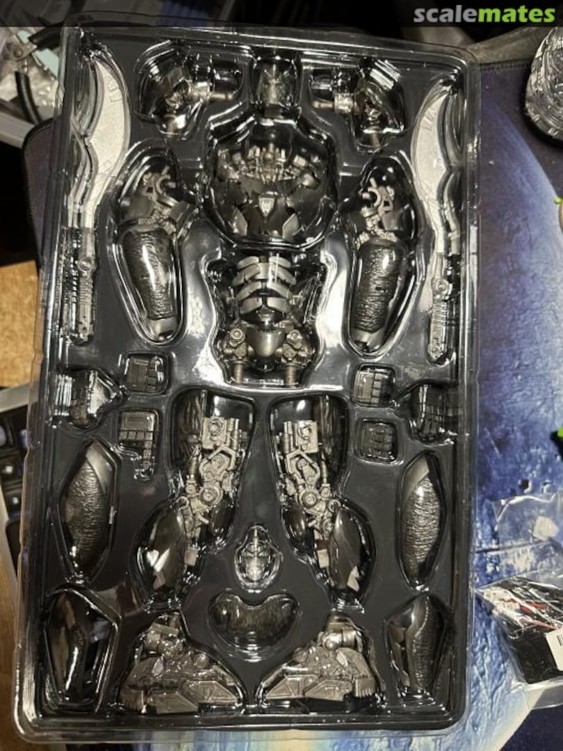 View album, image #1 View album, image #1