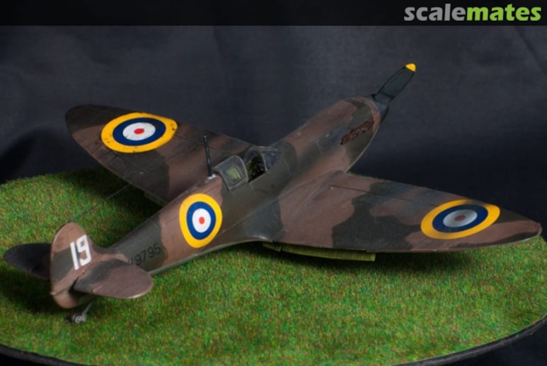 View album, image #1 View album, image #1