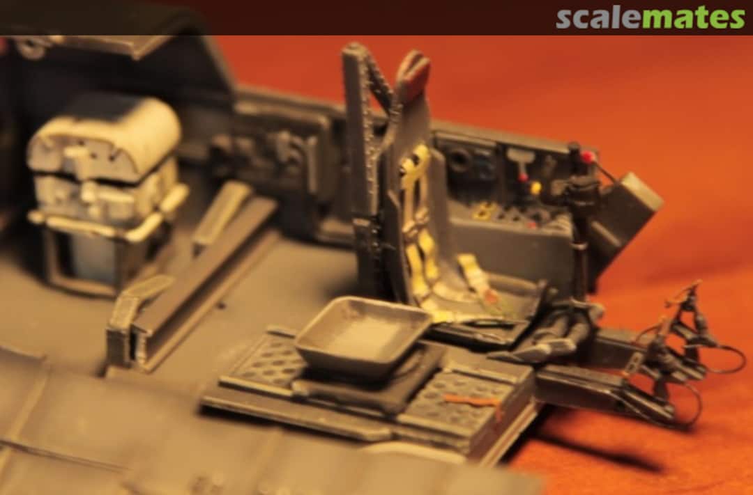 View album, image #3 View album, image #3